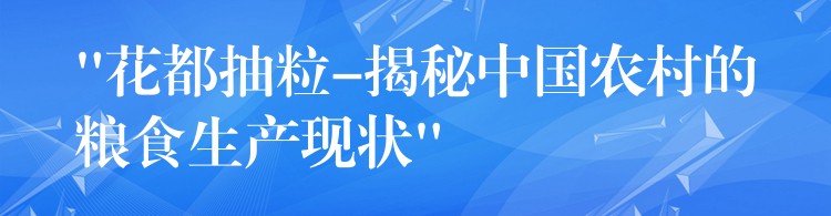 “花都抽粒-揭秘中国农村的粮食生产现状”