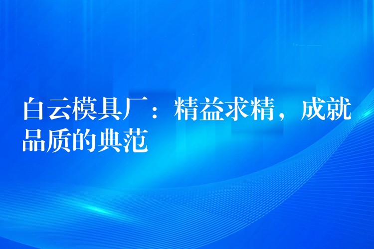 白云模具厂：精益求精，成就品质的典范