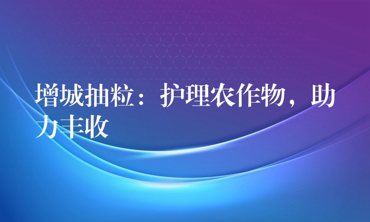 增城抽粒：护理农作物，助力丰收