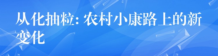 从化抽粒: 农村小康路上的新变化